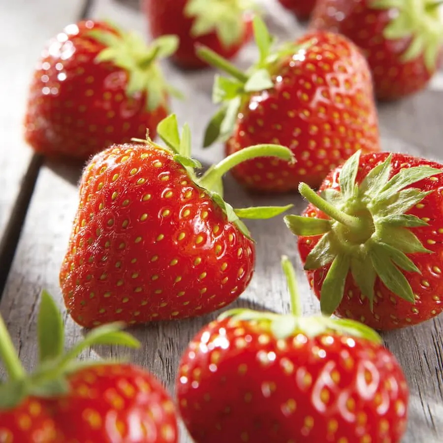 Erdbeeren